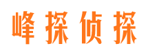 兴县侦探公司